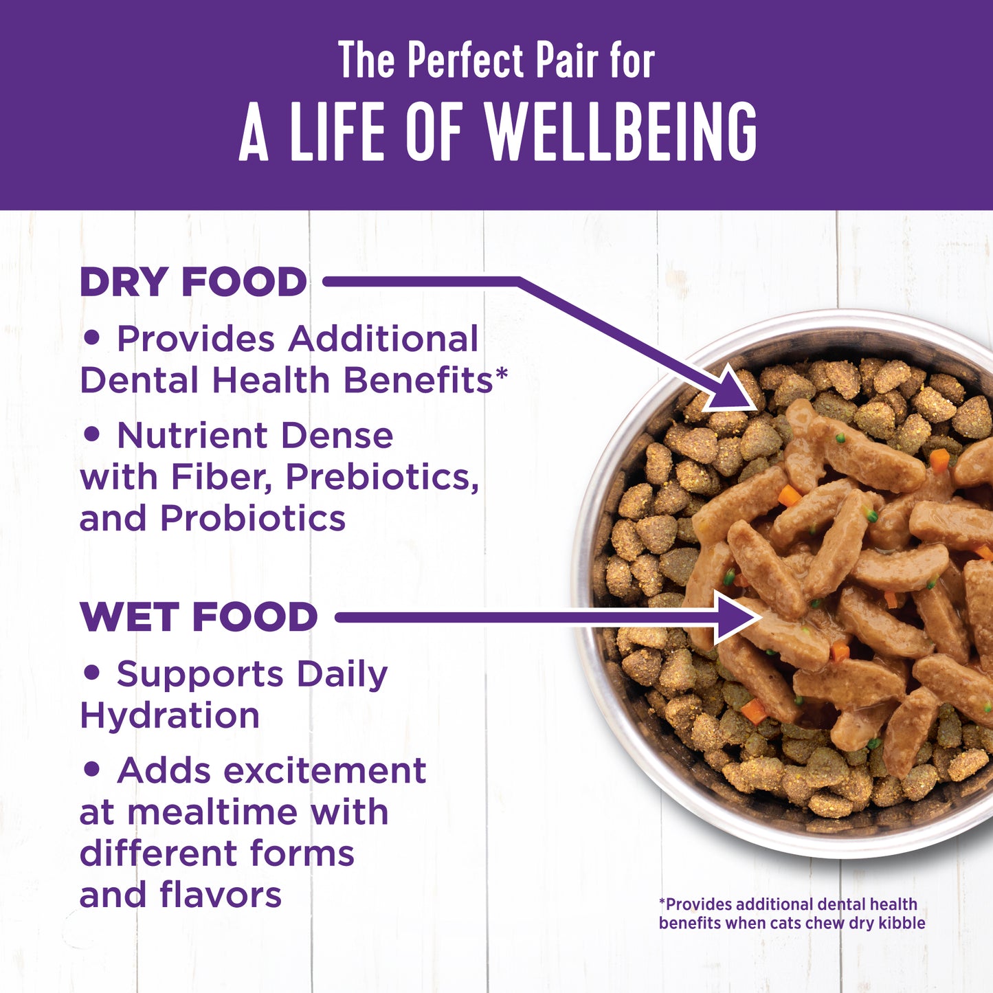 Wellness Complete Health Sliced Chicken Entree Canned Wet Cat Food 5.5oz