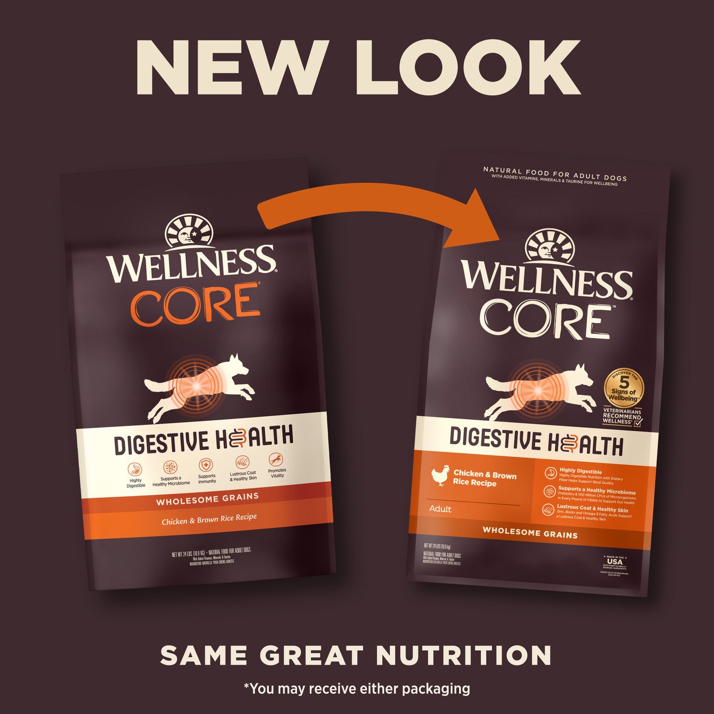 Wellness Core Digestive Health Chicken Recipe Dry Dog Food