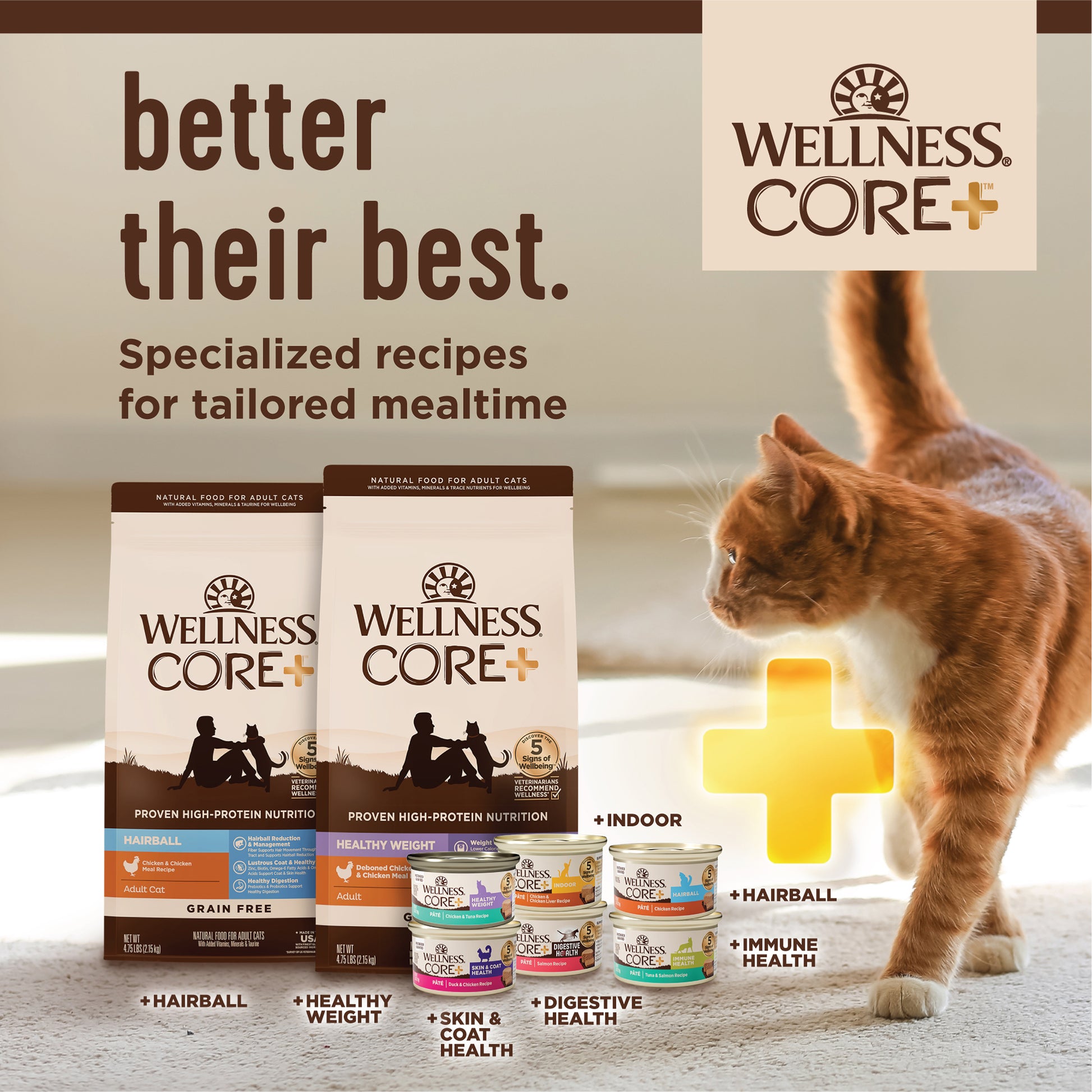 Wellness Core+ Digestive Health Pate Salmon Wet Cat Food 3oz