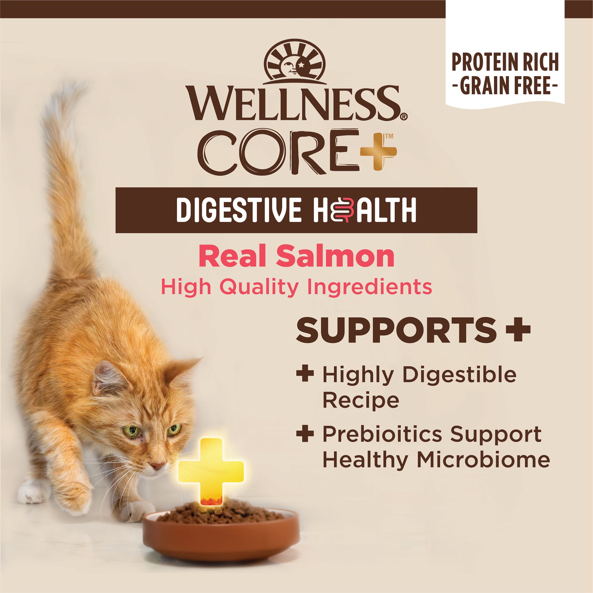 Wellness Core+ Digestive Health Pate Salmon Wet Cat Food 3oz