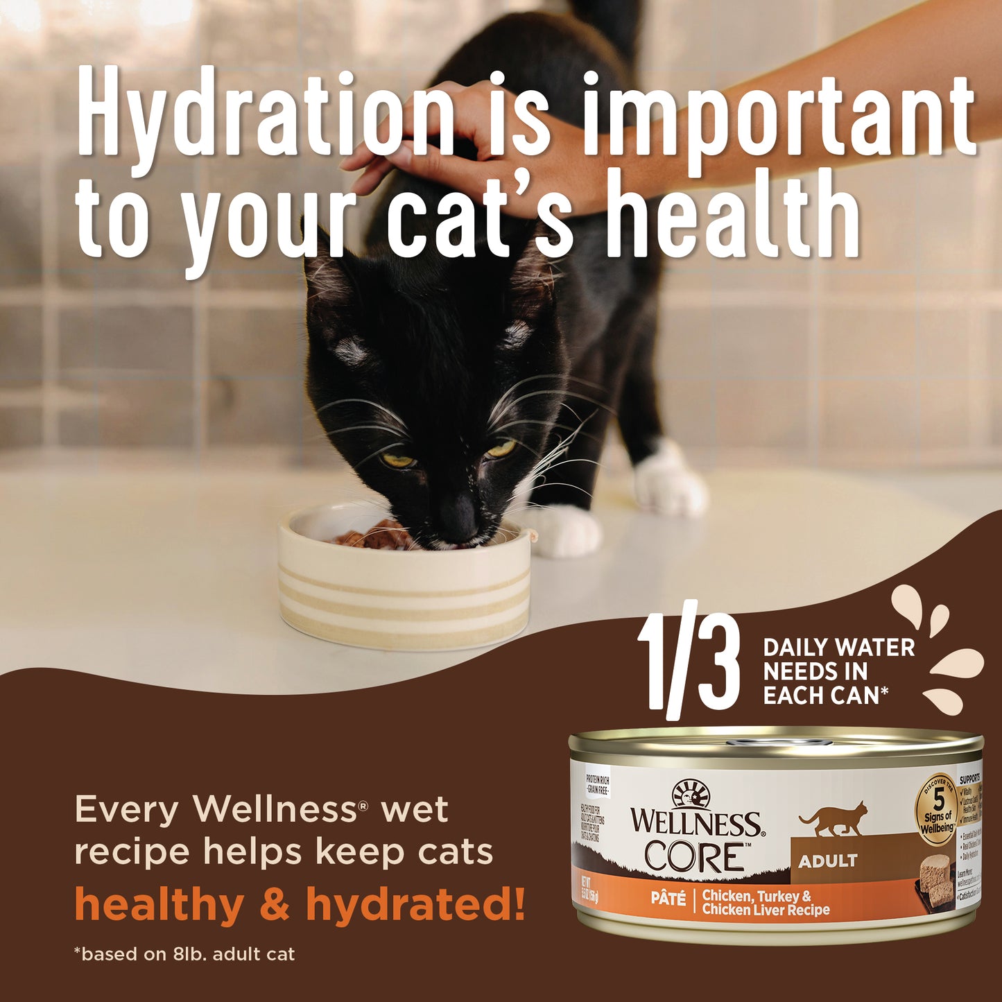 Wellness Core+ Digestive Health Pate Salmon Wet Cat Food 3oz