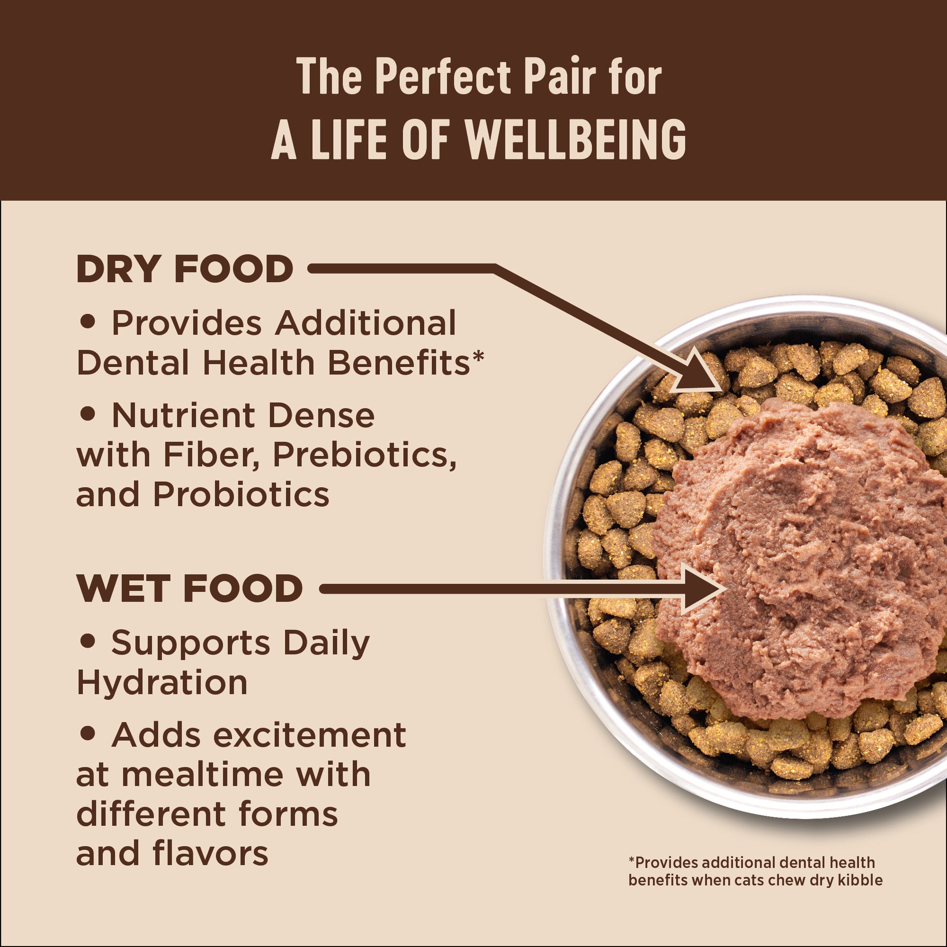 Wellness Core+ Digestive Health Pate Salmon Wet Cat Food 3oz