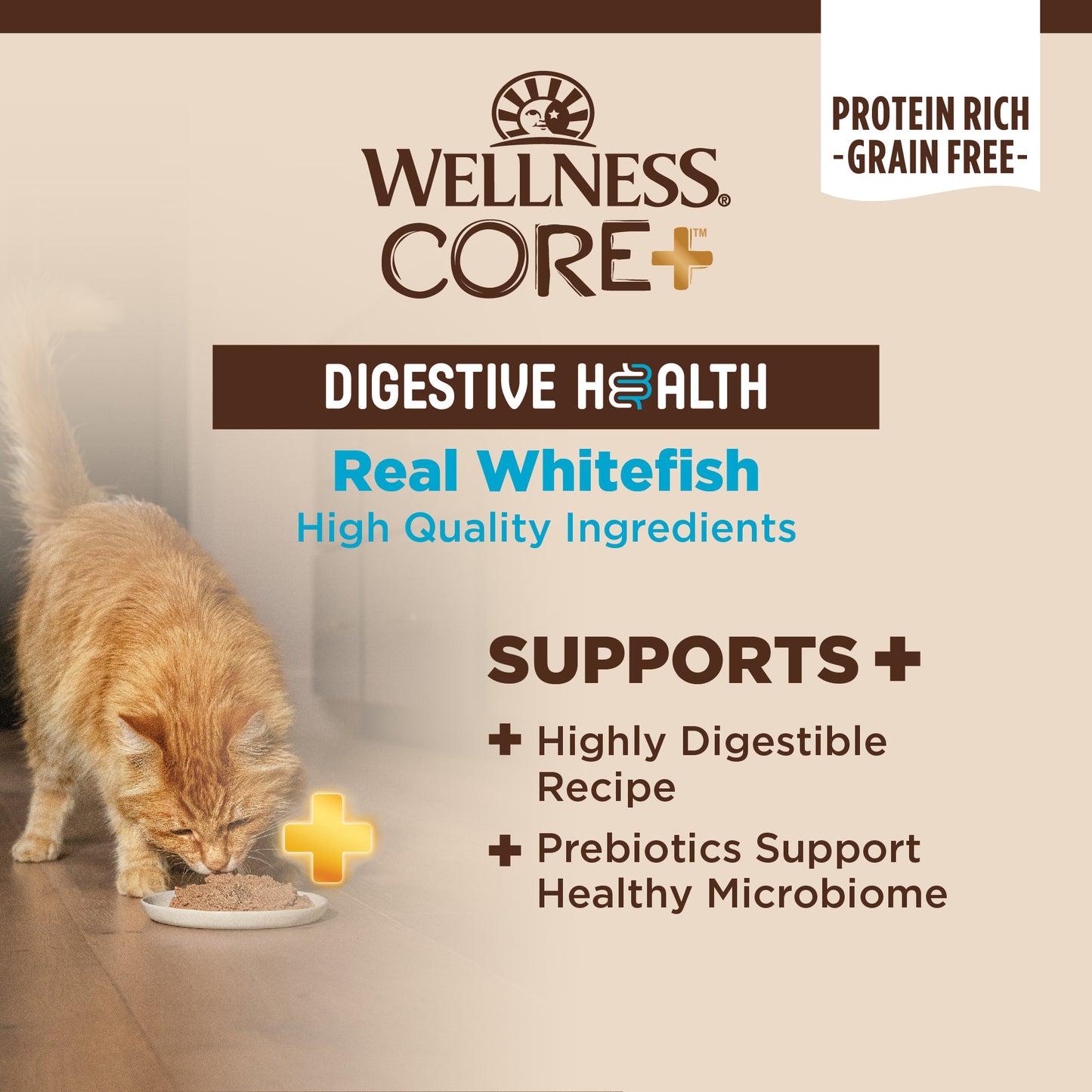 Wellness Core+ Digestive Health Pate Whitefish Wet Cat Food 3oz
