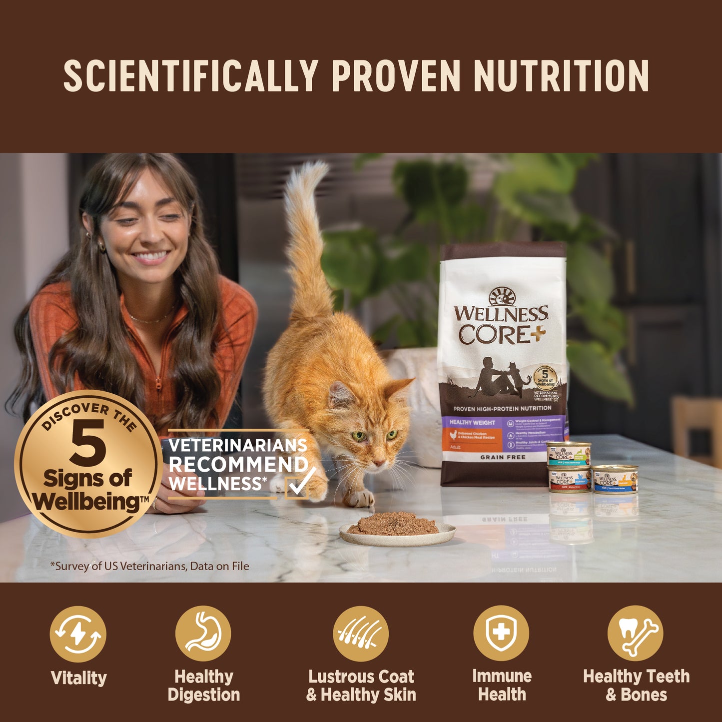 Wellness Core+ Digestive Health Pate Whitefish Wet Cat Food 3oz