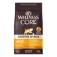 Wellness Core Digestive Health Puppy Chicken & Brown Rice Recipe Dry Dog Food