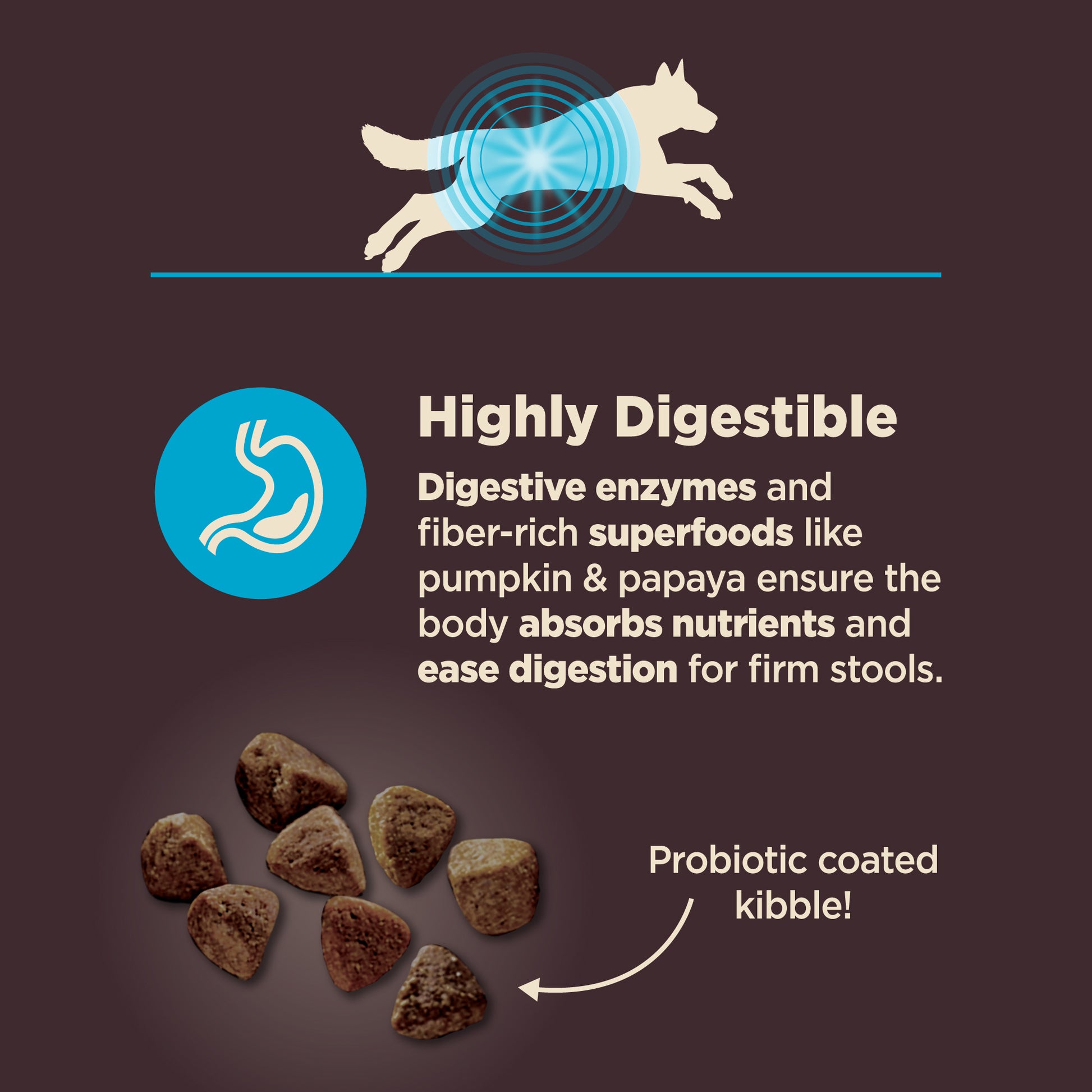 Wellness Core Digestive Health Whitefish & Brown Rice Recipe Dry Dog Food