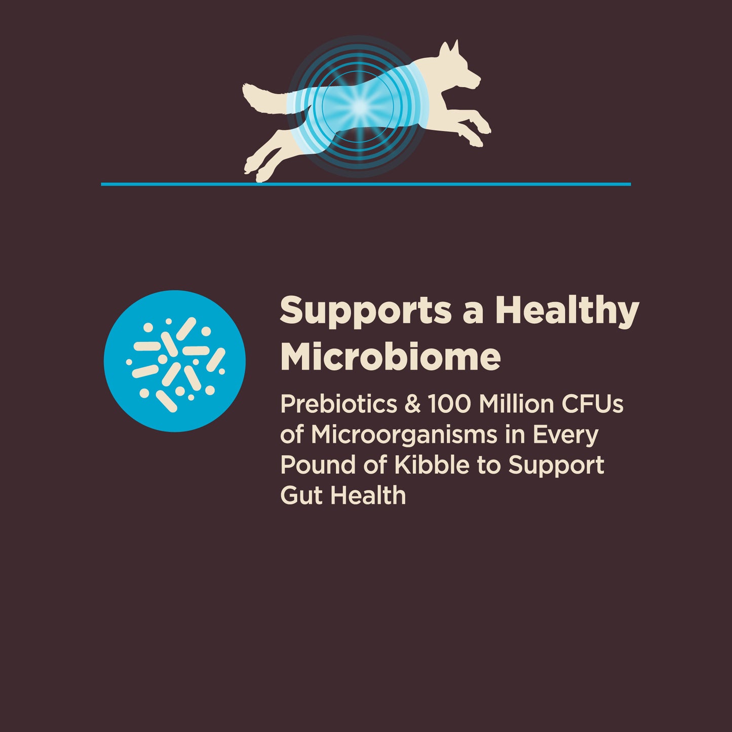 Wellness Core Digestive Health Whitefish & Brown Rice Recipe Dry Dog Food