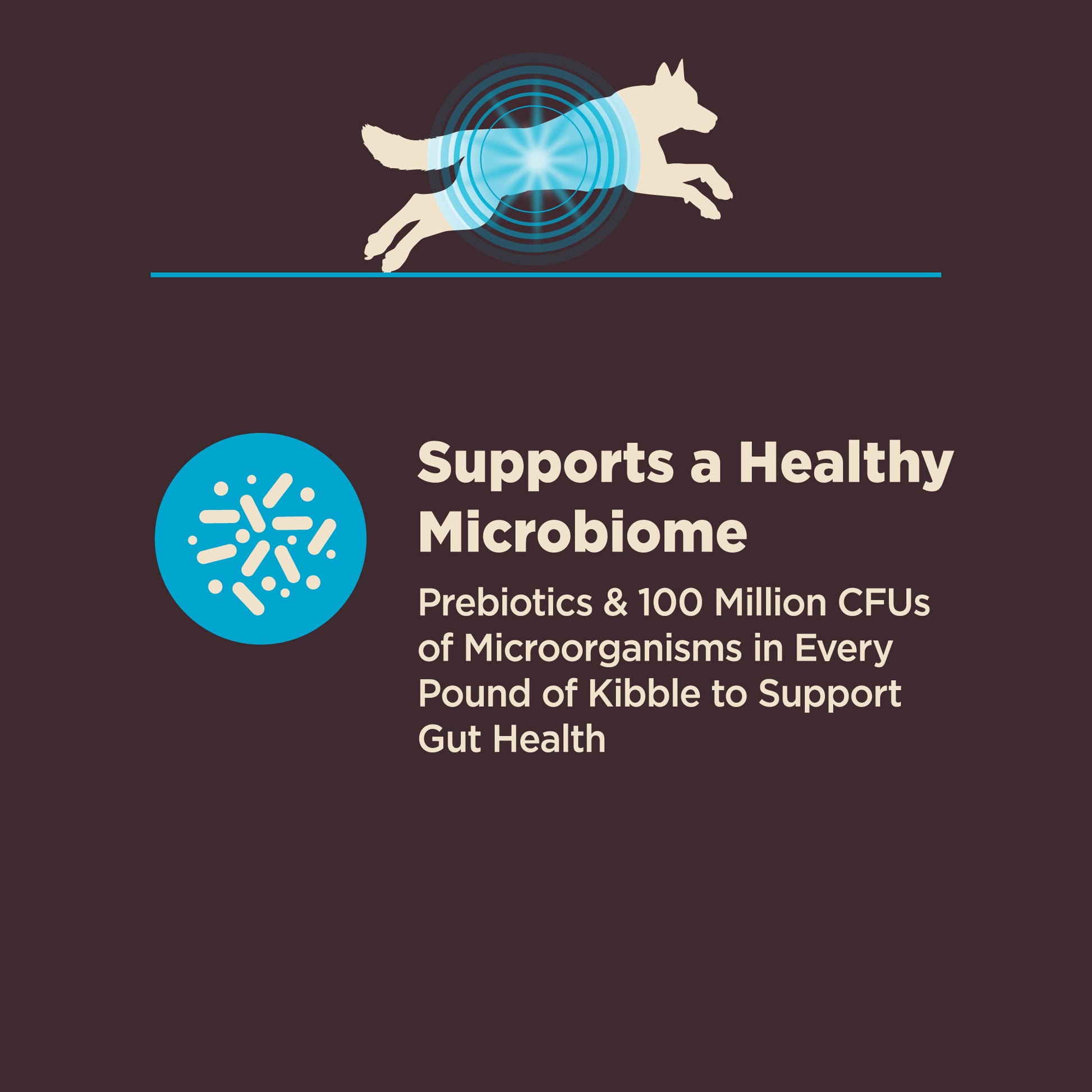 Wellness Core Digestive Health Whitefish & Brown Rice Recipe Dry Dog Food