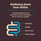 Wellness Core Digestive Health Whitefish & Brown Rice Recipe Dry Dog Food