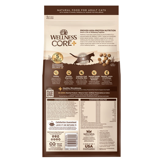 Wellness Core Digestive Health With Wholesome Grains Salmon Recipe Dry Cat Food