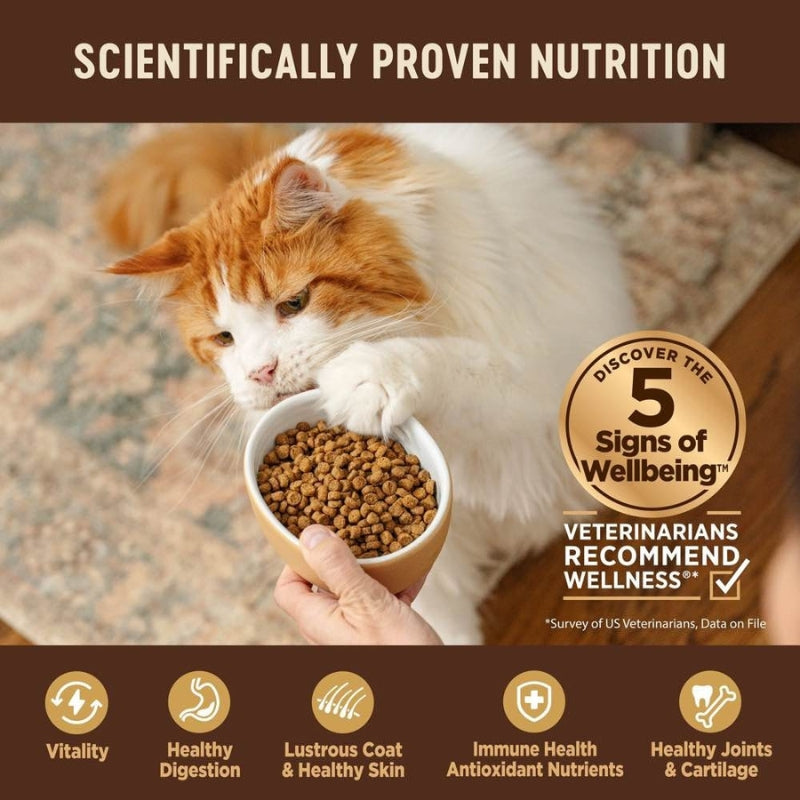 Wellness Core+ Indoor Chicken, Turkey & Chicken Meal Indoor Formula Dry Cat Food [2 Sizes]