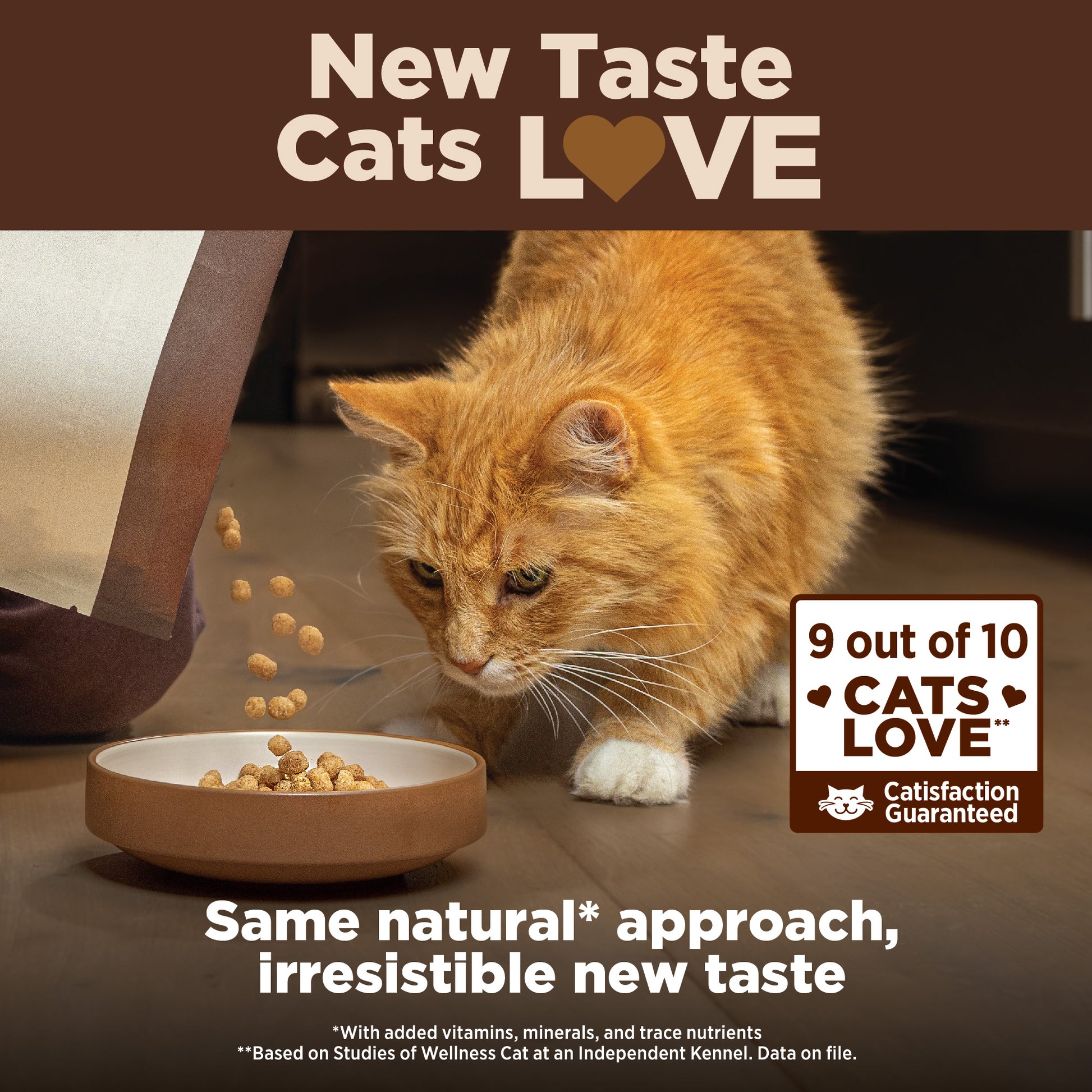 Wellness Core Indoor Deboned Chicken, Turkey & Chicken Meals Dry Cat Food