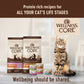 Wellness Core Original Deboned Turkey, Turkey Meal & Chicken Meal Grain-Free Adult Dry Cat Food [2 Sizes]