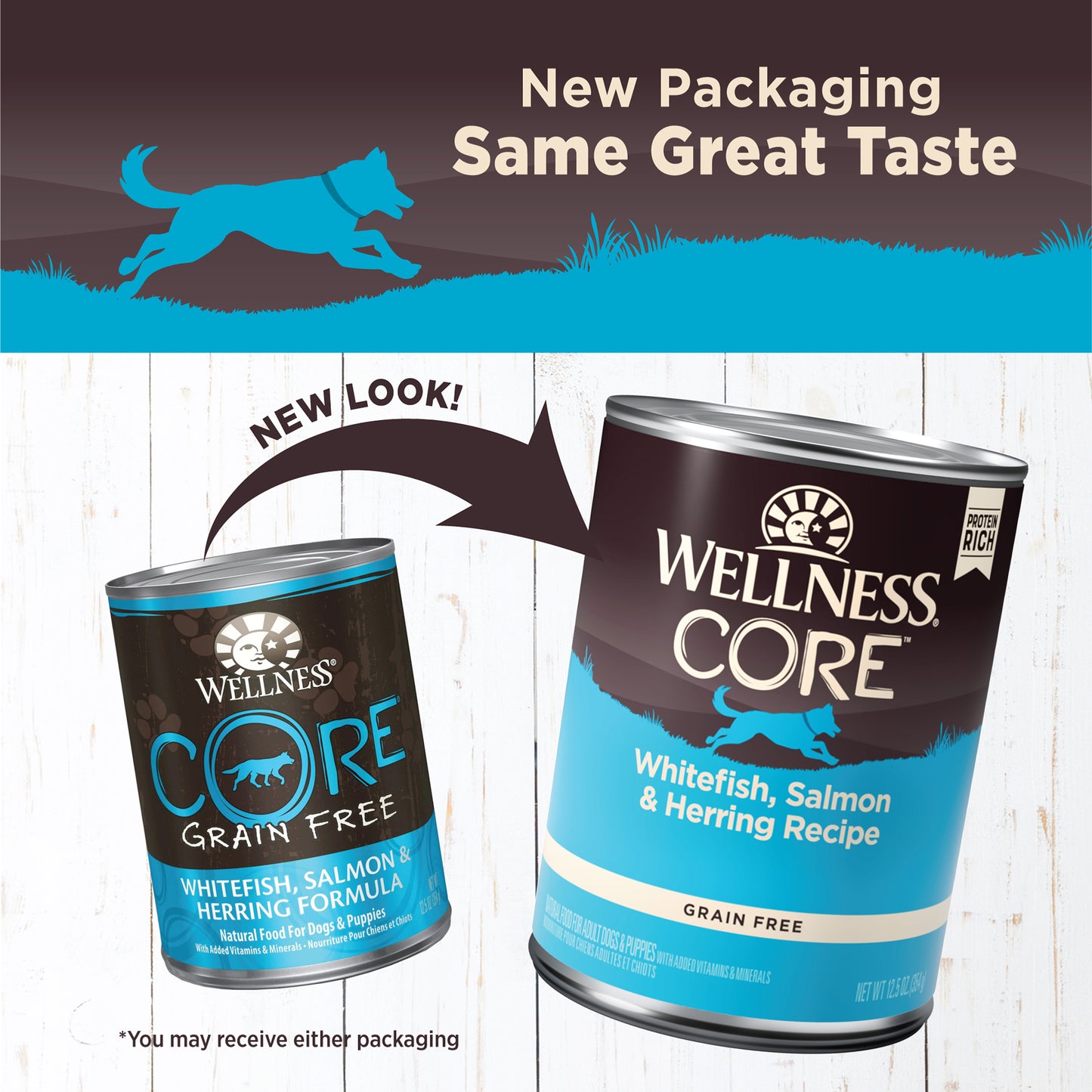 Wellness Core Salmon, Whitefish & Herring Formula Wet Dog Food 12.5oz