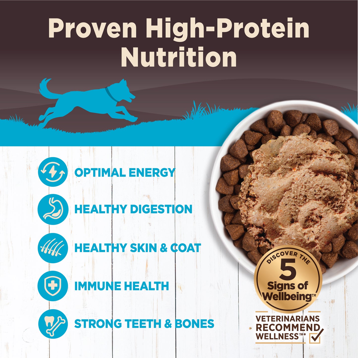 Wellness Core Salmon, Whitefish & Herring Formula Wet Dog Food 12.5oz