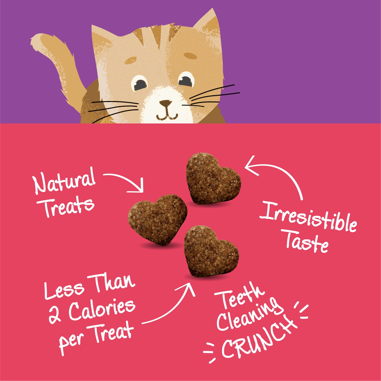Wellness Kittles Salmon & Cranberries Recipe Cat Treats 2oz