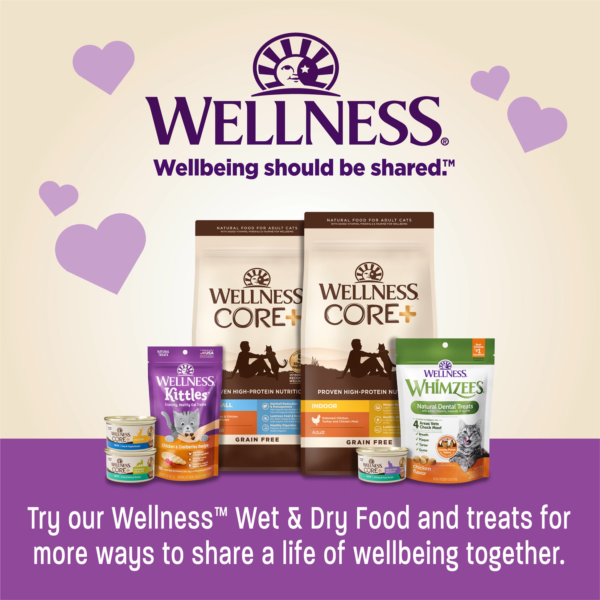 Wellness Kittles Salmon & Cranberries Recipe Cat Treats 2oz