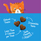 Wellness Kittles Tuna & Cranberries Recipe Cat Treats 2oz