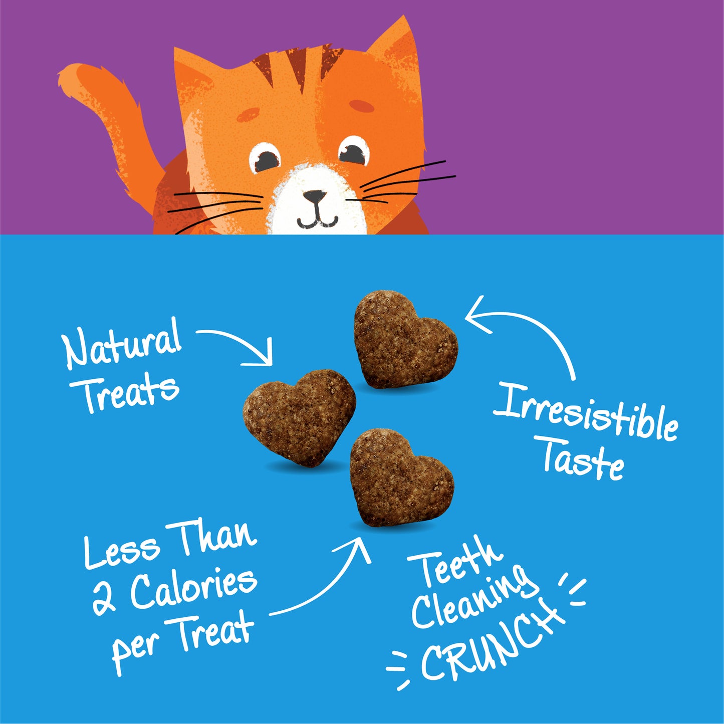 Wellness Kittles Tuna & Cranberries Recipe Cat Treats 2oz