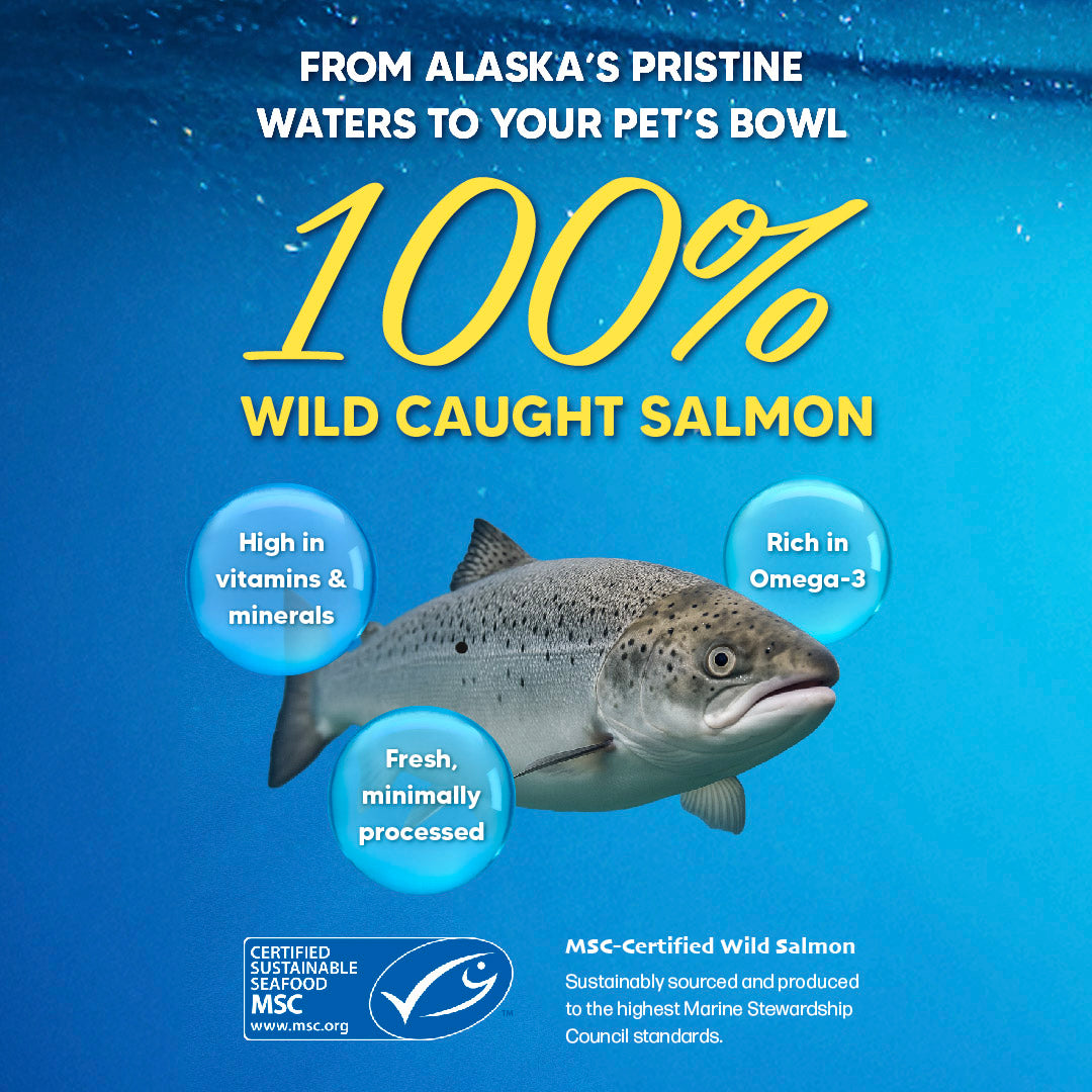 SingAPaw Salmon & Krill