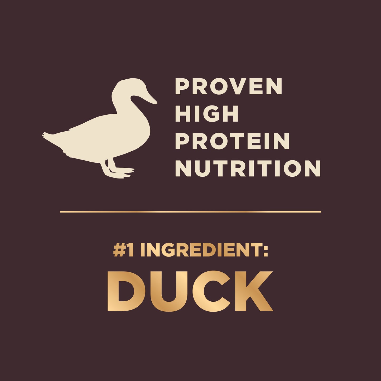 Wellness CORE+ (RawRev) Wild Game Dry Dog Food