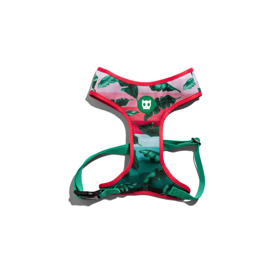 ZeeDog Bali Air Mesh Plus Harness