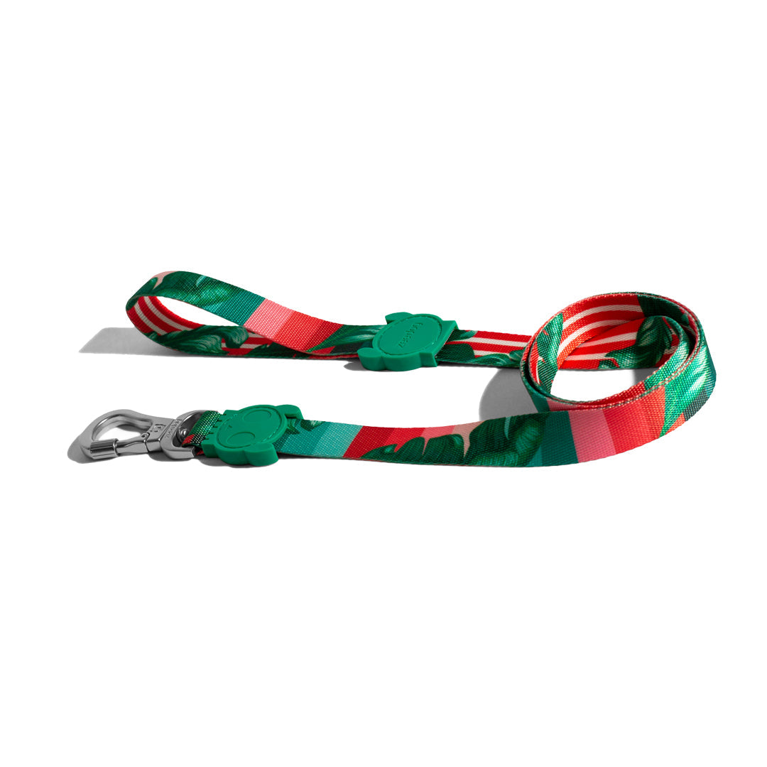 Bali Leash