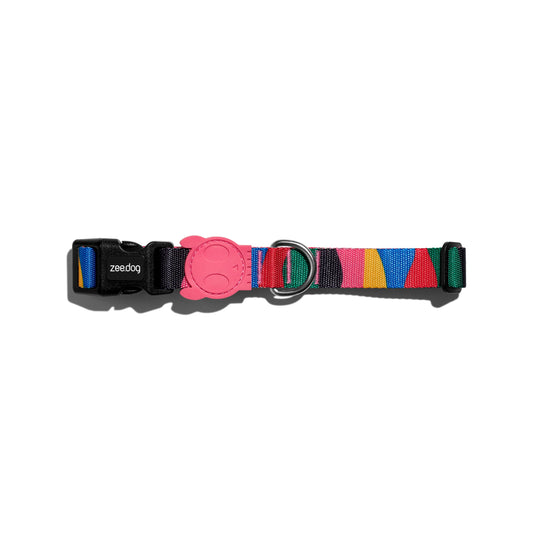 ZeeDog Chroma Collar
