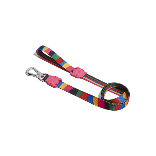 ZeeDog Chroma Leash