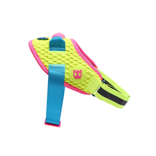 ZeeDog Cmyk Flyharness