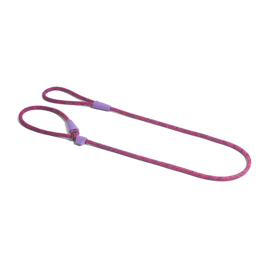 ZeeDog Cosmo Slip On Leash