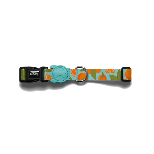 ZeeDog Florida Collar