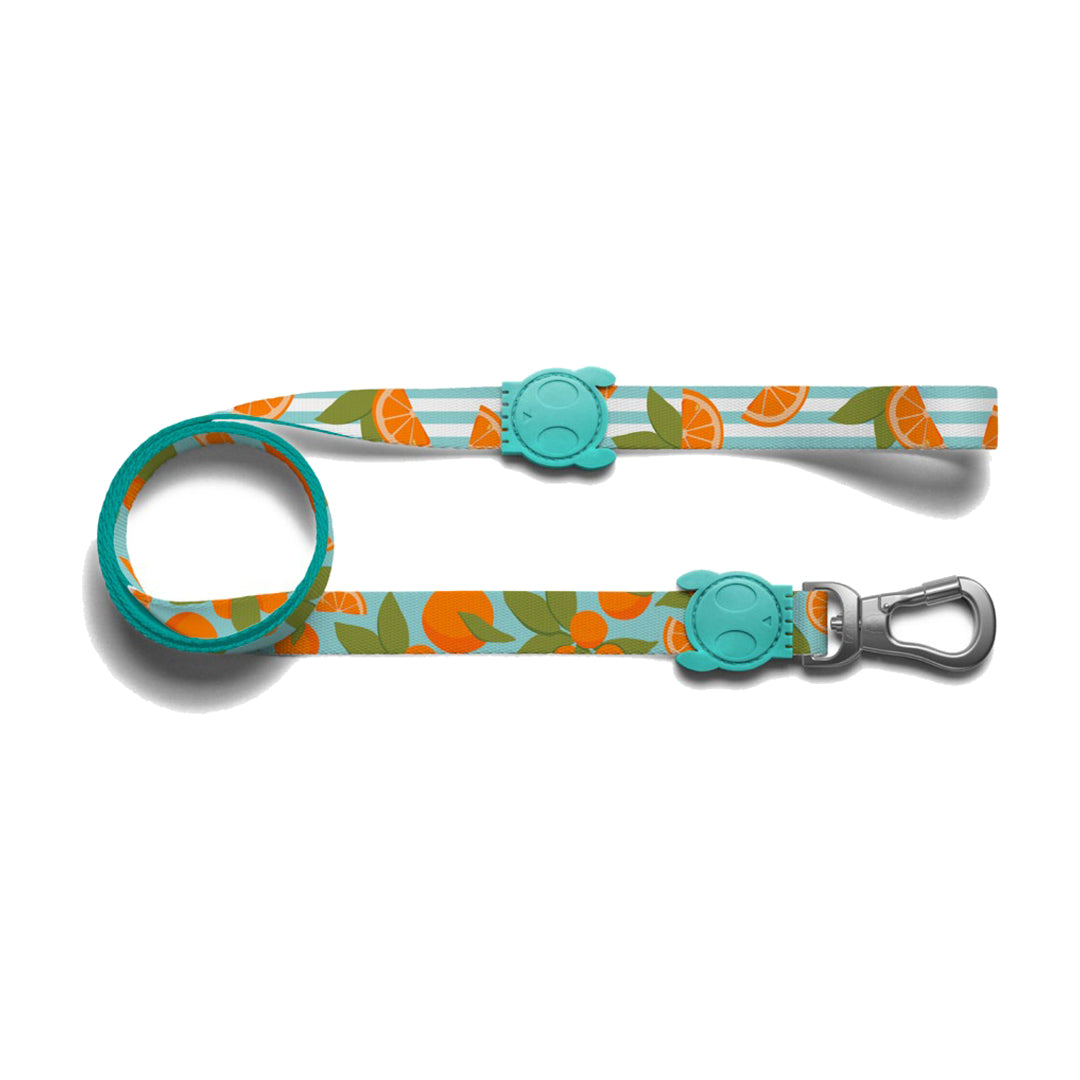 ZeeDog Florida Leash