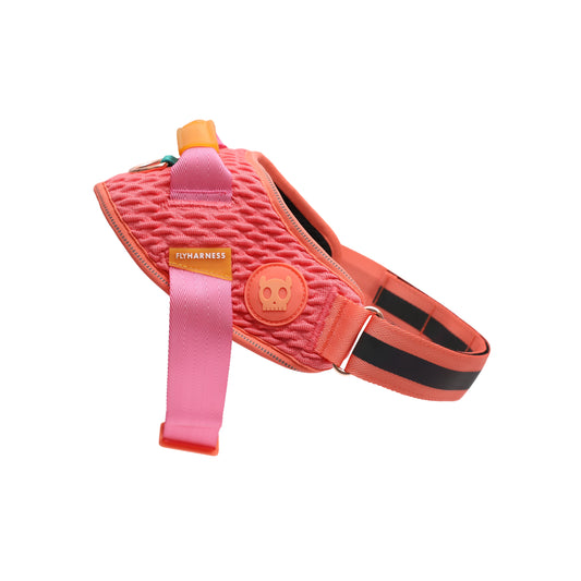 ZeeDog Gazelle Flyharness