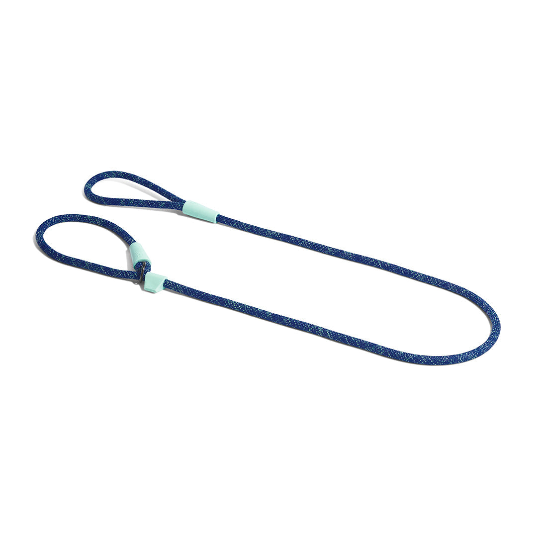 ZeeDog Indigo Slip On Leash