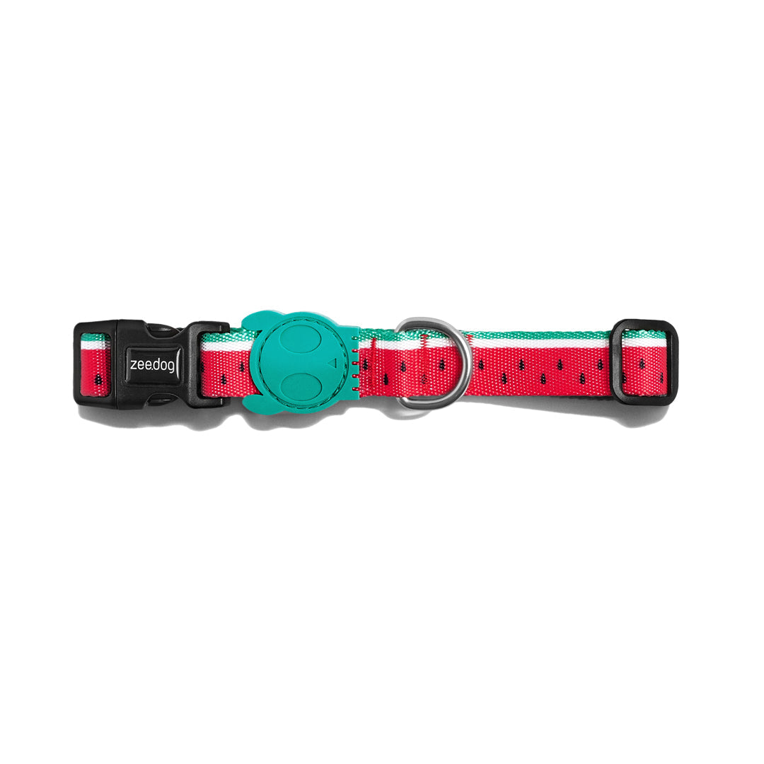 ZeeDog LOLA Collar