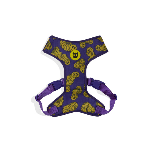 ZeeDog Lords Of Zee.Town Zmiley Air Mesh Harness
