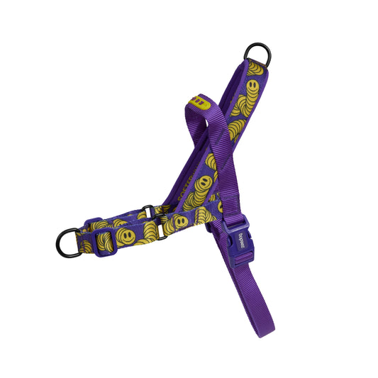 ZeeDog Lords Of Zee.Town Zmiley Softer Walk Harness