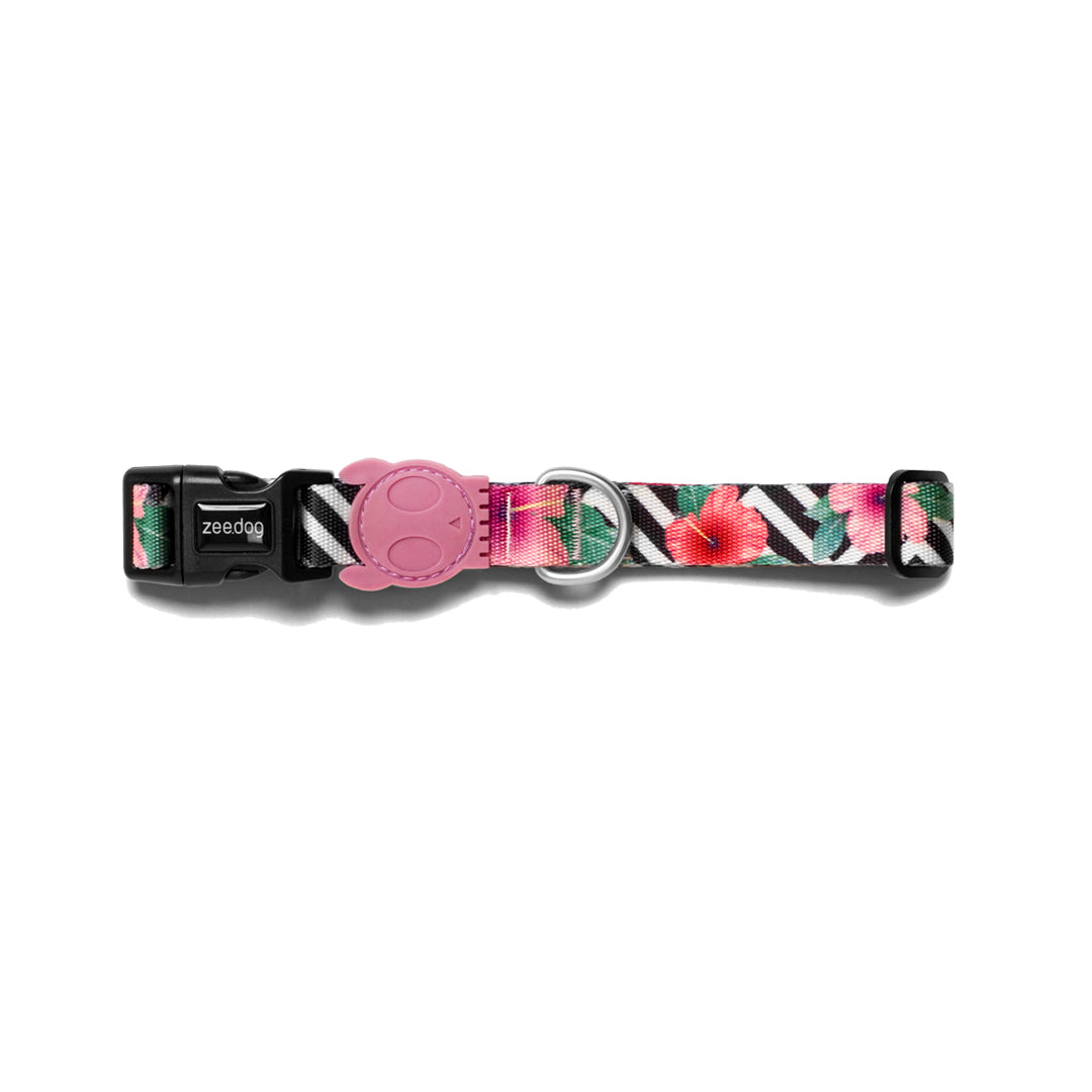 ZeeDog Mahalo Collar