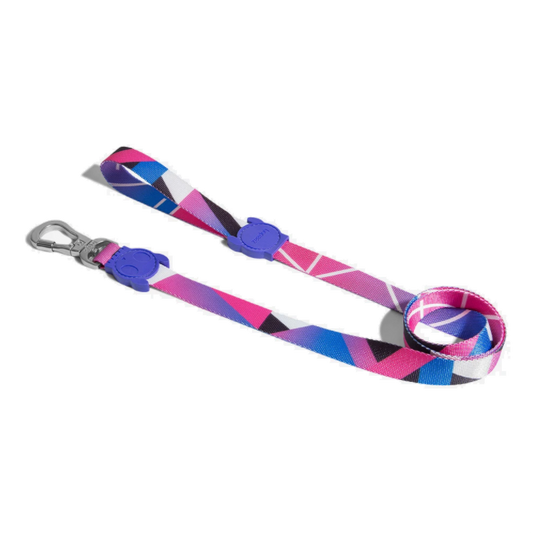 ZeeDog Midnight Leash