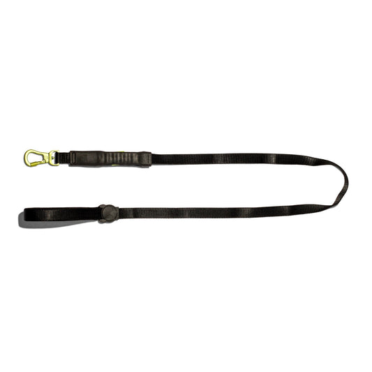 ZeeDog Neon Air Leash