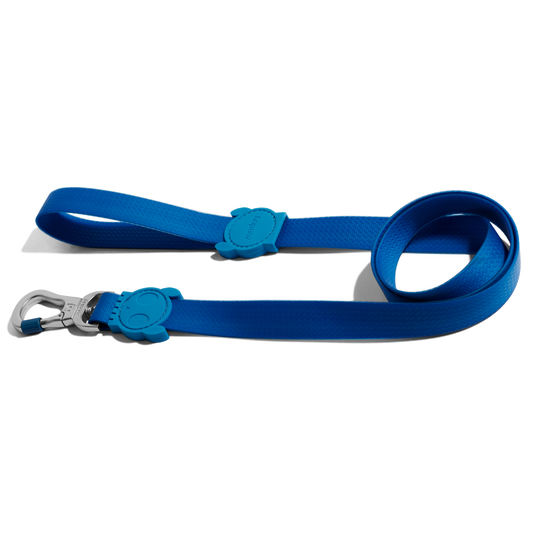Neopro Blue Leash