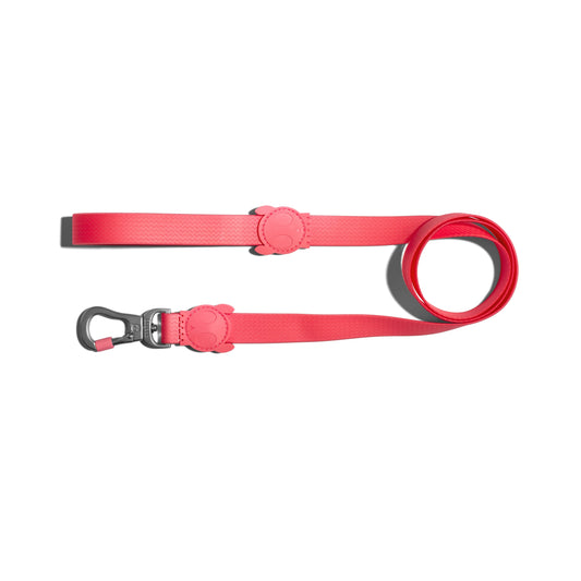 ZeeDog Neopro Bubblegum Leash