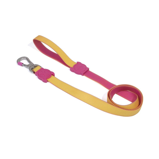 ZeeDog Neopro Lyra Leash