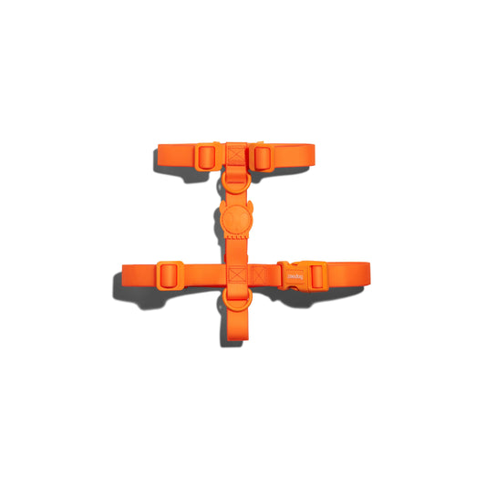 ZeeDog Neopro Tangerine H-Harness