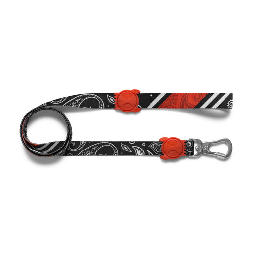 ZeeDog Paisley Leash
