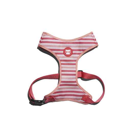 ZeeDog Peppermint Air Mesh Harness