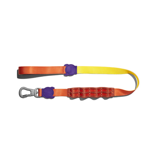 ZeeDog Pump Ruff Leash