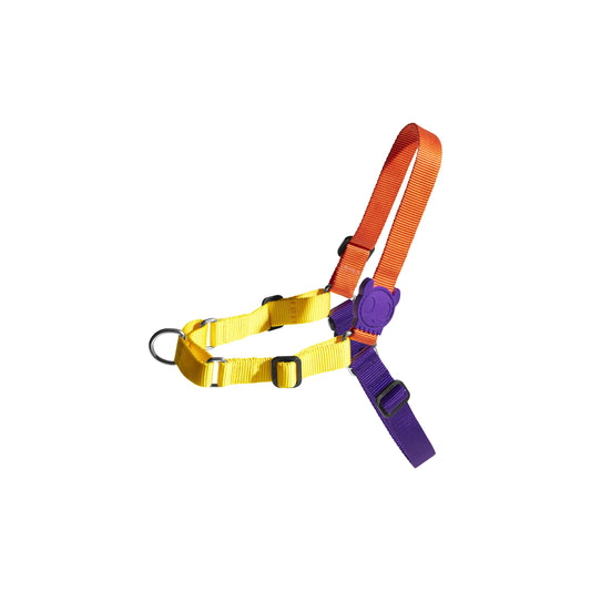 ZeeDog Pump Soft-Walk Harness