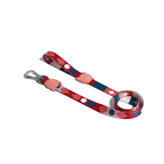 ZeeDog Same Leash